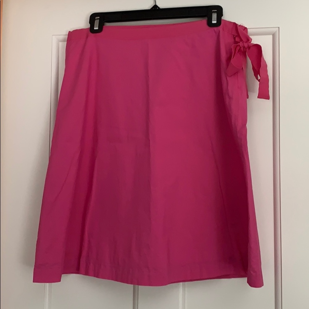 Jcrew skirt